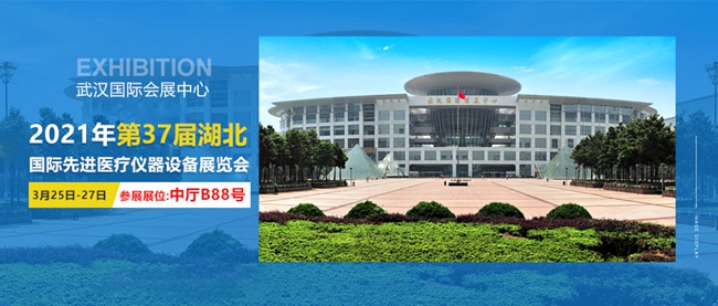 韦德官方网站科技