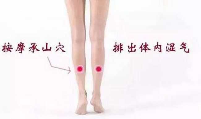 韦德官方网站科技